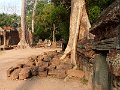 Angkor Ta Prohm P0156